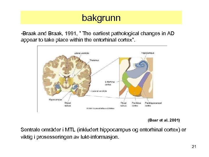 bakgrunn -Braak and Braak, 1991, ” The earliest pathological changes in AD appear to