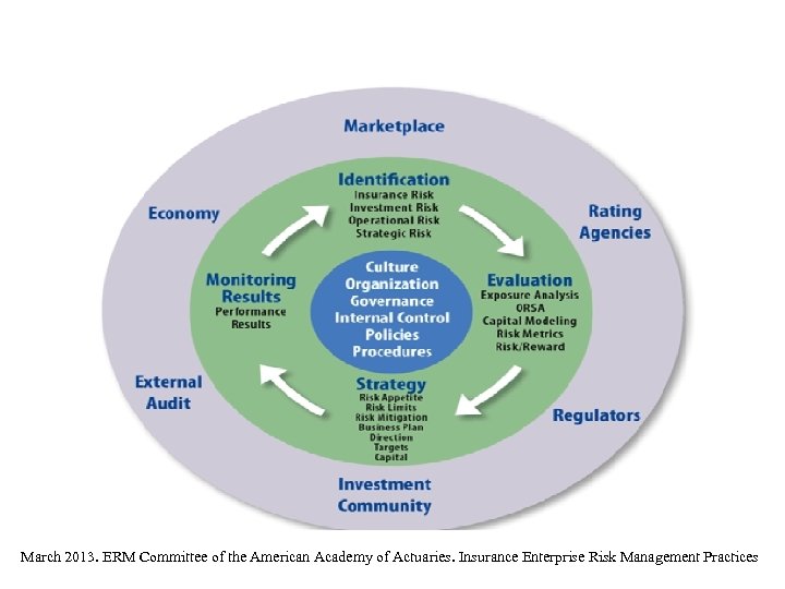 March 2013. ERM Committee of the American Academy of Actuaries. Insurance Enterprise Risk Management