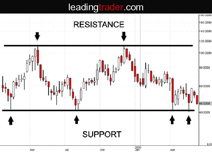 leadingtrader. com 