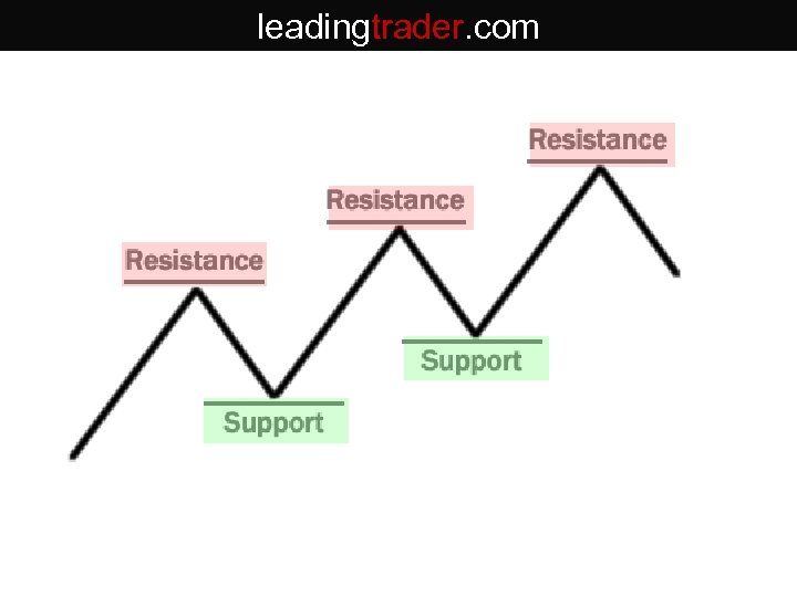 leadingtrader. com 