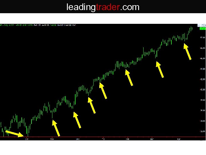 leadingtrader. com 