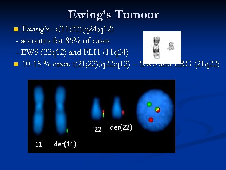 Ewing’s Tumour Ewing’s– t(11; 22)(q 24; q 12) - accounts for 85% of cases