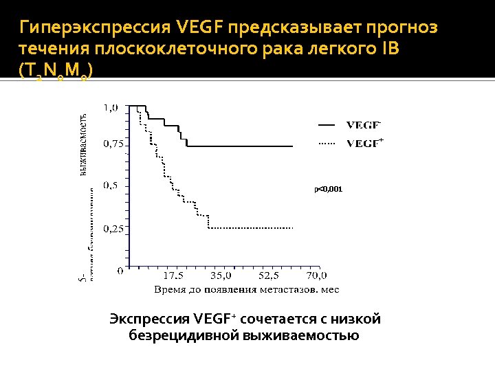 Гиперэкспрессия VEGF предсказывает прогноз течения плоскоклеточного рака легкого IВ (T 2 N 0 M