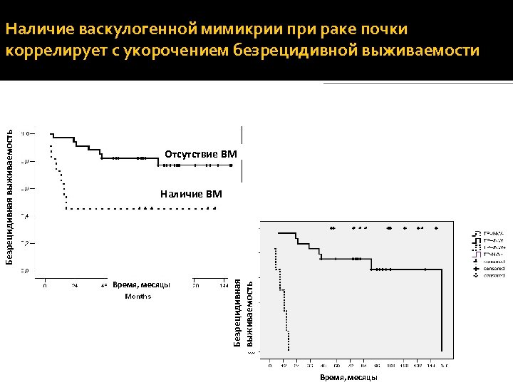 Отсутствие ВМ Наличие ВМ Время, месяцы Безрецидивная выживаемость Наличие васкулогенной мимикрии при раке почки