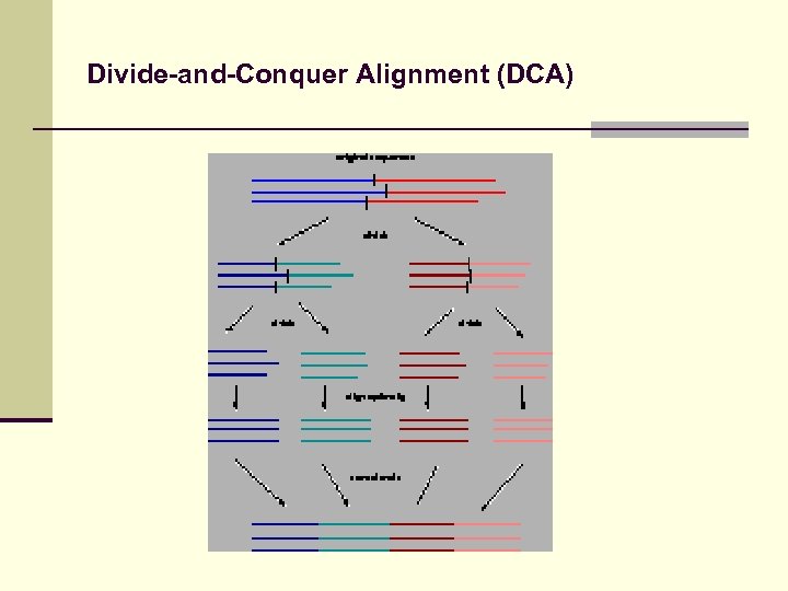 Divide-and-Conquer Alignment (DCA) 