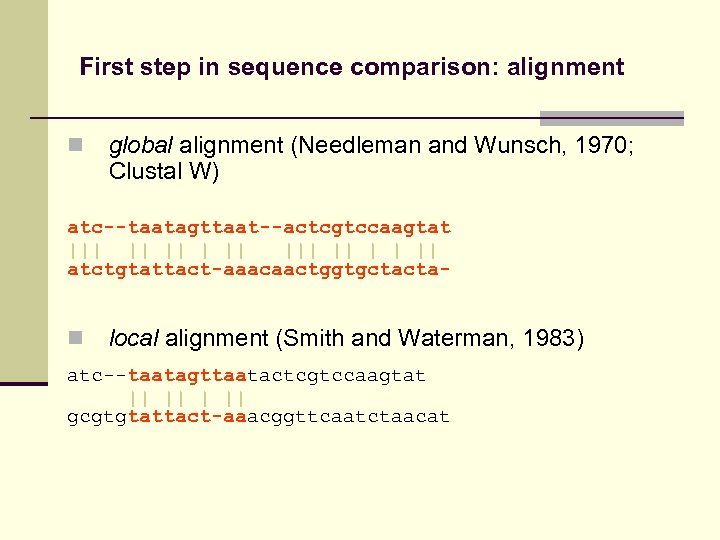 First step in sequence comparison: alignment n global alignment (Needleman and Wunsch, 1970; Clustal