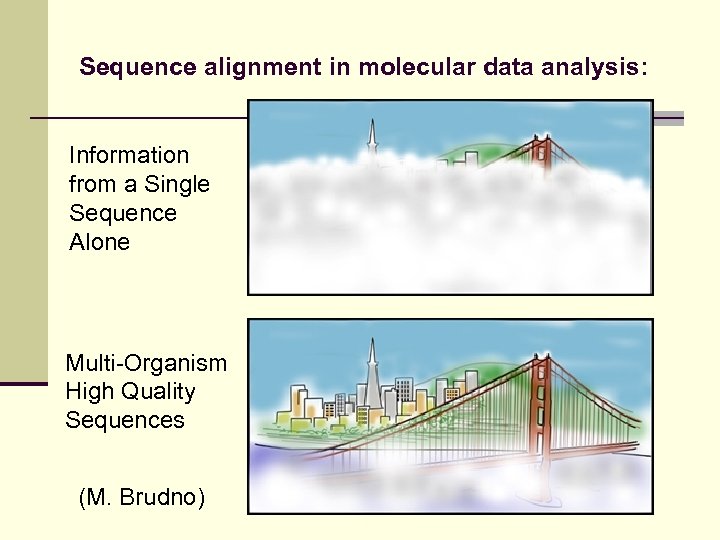 Sequence alignment in molecular data analysis: Information from a Single Sequence Alone Multi-Organism High