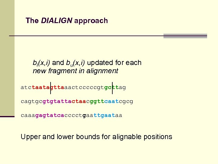 The DIALIGN approach bl(x, i) and bu(x, i) updated for each new fragment in