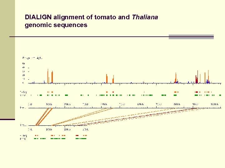 DIALIGN alignment of tomato and Thaliana genomic sequences 