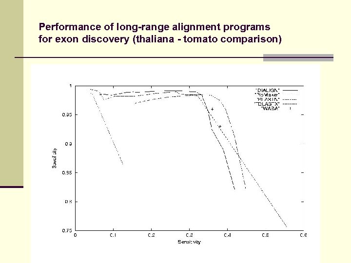Performance of long-range alignment programs for exon discovery (thaliana - tomato comparison) 
