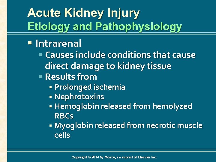 Acute Kidney Injury Etiology and Pathophysiology § Intrarenal § Causes include conditions that cause