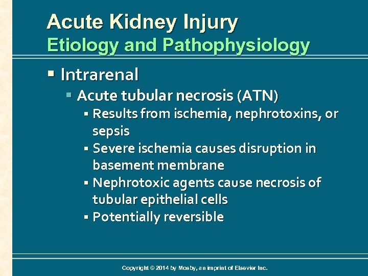 Acute Kidney Injury Etiology and Pathophysiology § Intrarenal § Acute tubular necrosis (ATN) §