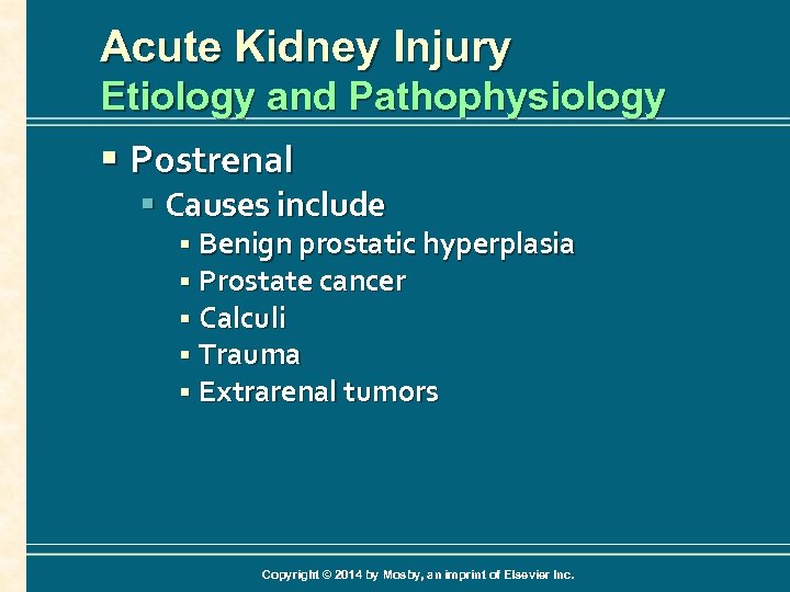 Acute Kidney Injury Etiology and Pathophysiology § Postrenal § Causes include § Benign prostatic