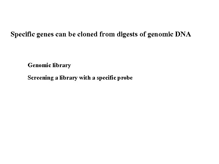 Specific genes can be cloned from digests of genomic DNA Genomic library Screening a