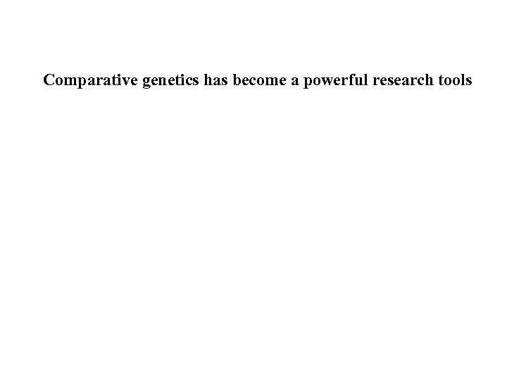 Comparative genetics has become a powerful research tools 