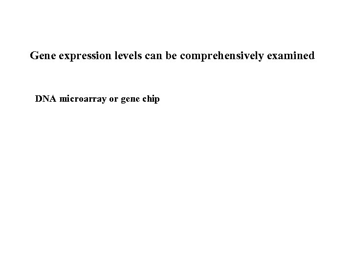 Gene expression levels can be comprehensively examined DNA microarray or gene chip 