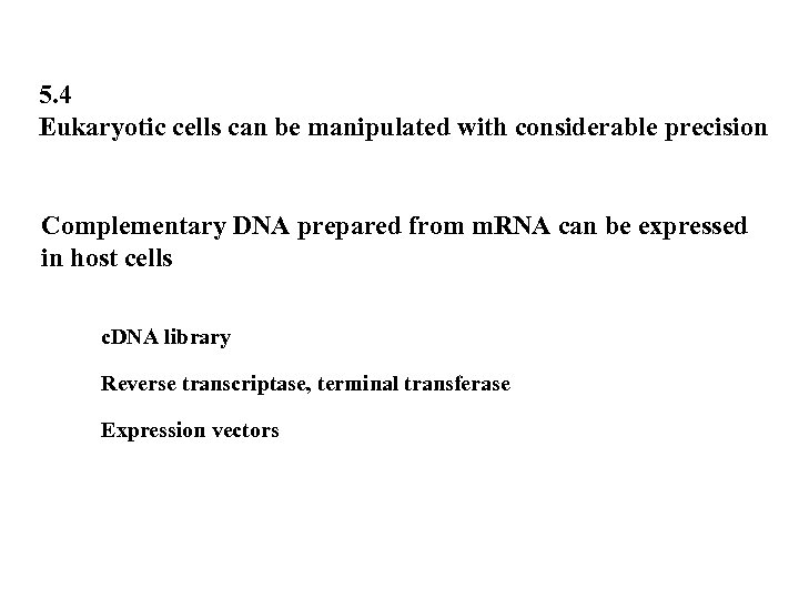 5. 4 Eukaryotic cells can be manipulated with considerable precision Complementary DNA prepared from