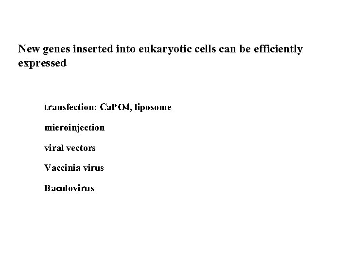 New genes inserted into eukaryotic cells can be efficiently expressed transfection: Ca. PO 4,