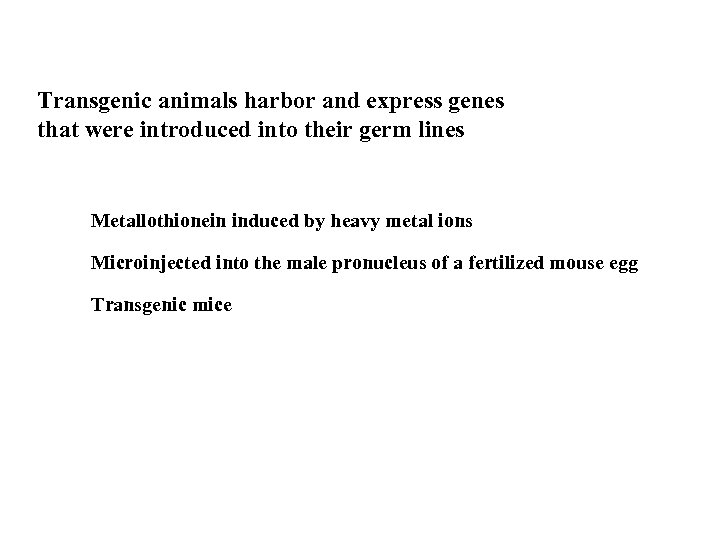 Transgenic animals harbor and express genes that were introduced into their germ lines Metallothionein