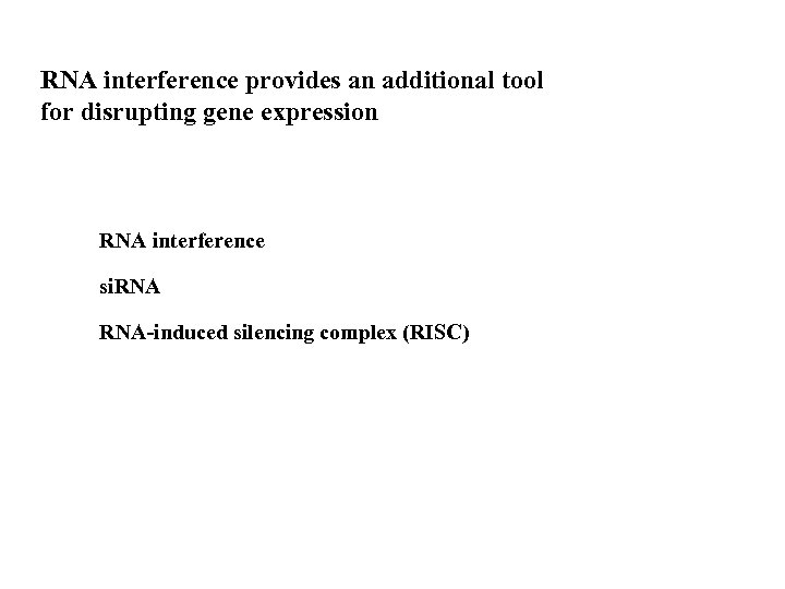 RNA interference provides an additional tool for disrupting gene expression RNA interference si. RNA-induced