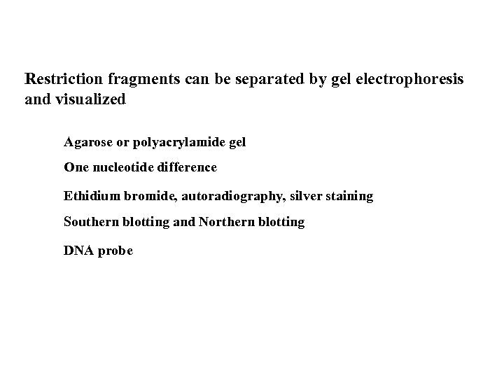 Restriction fragments can be separated by gel electrophoresis and visualized Agarose or polyacrylamide gel
