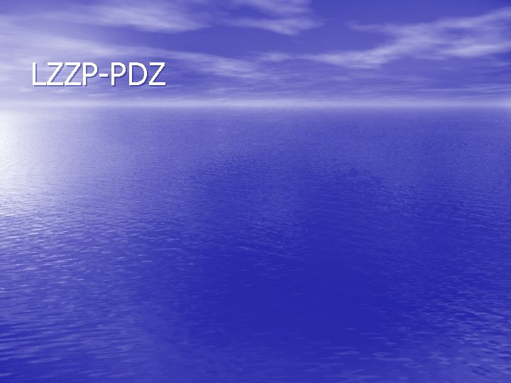 LZZP-PDZ 