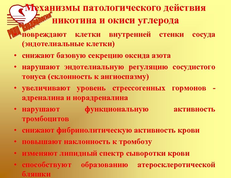 Механизмы патологического действия никотина и окиси углерода • повреждают клетки внутренней стенки сосуда (эндотелиальные