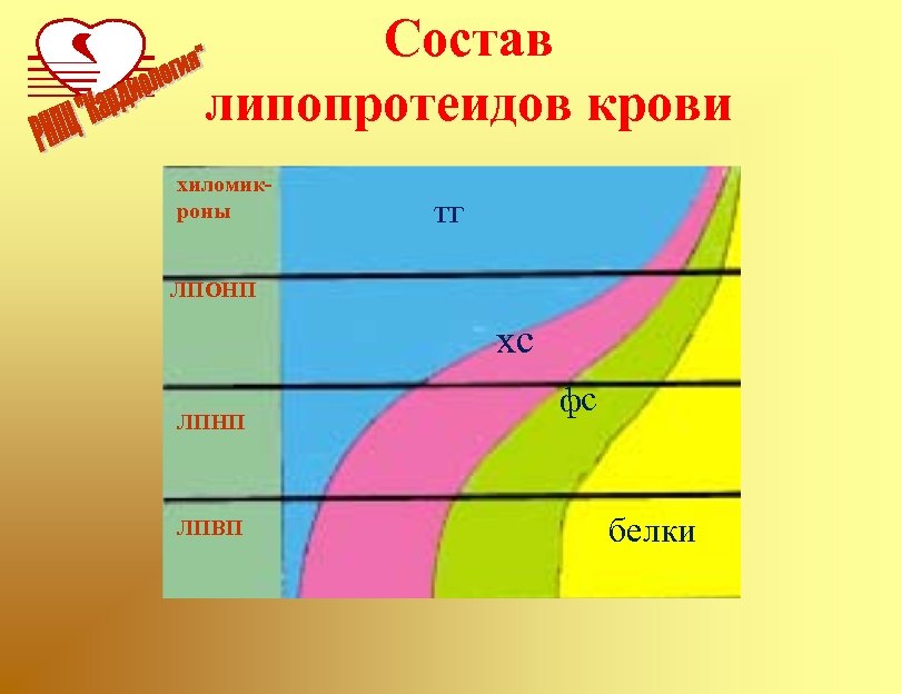 Состав липопротеидов крови хиломикроны тг ЛПОНП хс ЛПНП ЛПВП фс белки 