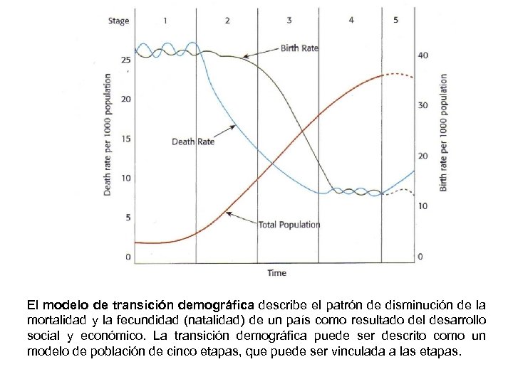 El modelo de transición demográfica describe el patrón de disminución de la mortalidad y