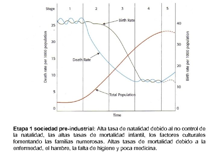 Etapa 1 sociedad pre-industrial: Alta tasa de natalidad debido al no control de la