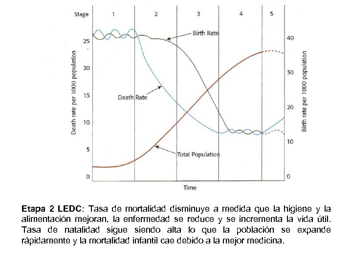 Etapa 2 LEDC: Tasa de mortalidad disminuye a medida que la higiene y la