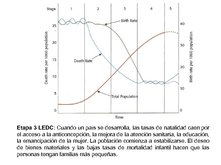 Etapa 3 LEDC: Cuando un país se desarrolla, las tasas de natalidad caen por