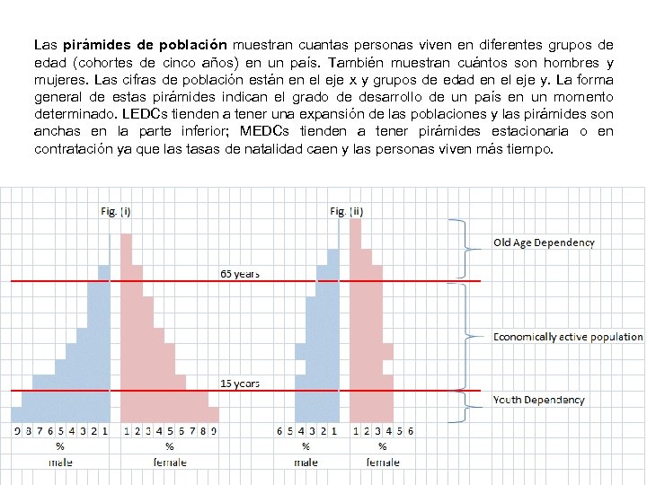 Las pirámides de población muestran cuantas personas viven en diferentes grupos de edad (cohortes