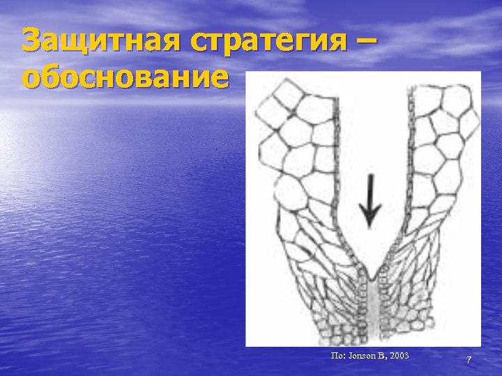 Защитная стратегия – обоснование По: Jonson B, 2003 7 