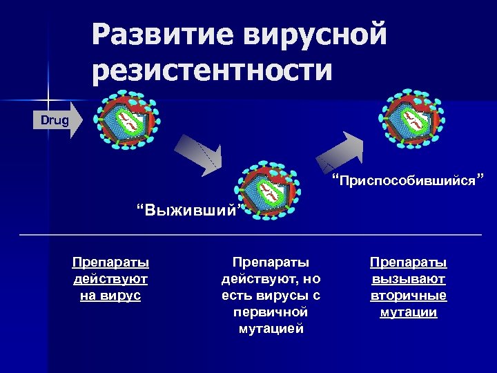 Развитие вирусной резистентности Drug “Приспособившийся” “Выживший” Препараты действуют на вирус Препараты действуют, но есть