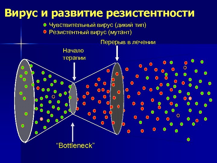 Вирус и развитие резистентности Чувствительный вирус (дикий тип) Резистентный вирус (мутант) Перерыв в лечении