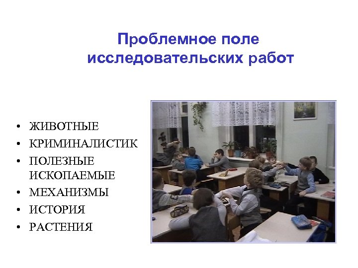 Проблемное поле исследовательских работ • ЖИВОТНЫЕ • КРИМИНАЛИСТИК • ПОЛЕЗНЫЕ ИСКОПАЕМЫЕ • МЕХАНИЗМЫ •