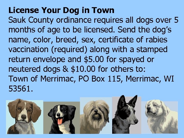 License Your Dog in Town Sauk County ordinance requires all dogs over 5 months