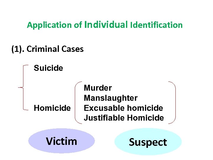 Application of Individual Identification (1). Criminal Cases Suicide Homicide Victim Murder Manslaughter Excusable homicide