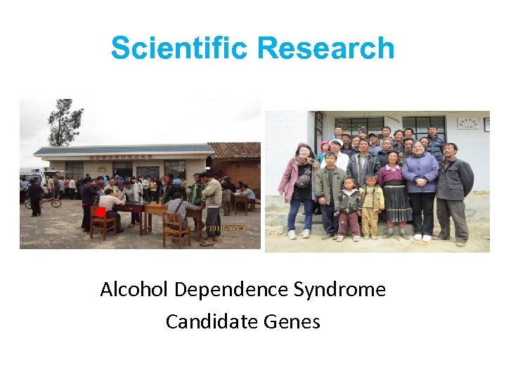Scientific Research Alcohol Dependence Syndrome Candidate Genes 