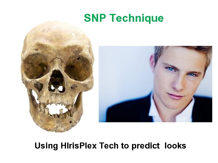 SNP Technique Using HIris. Plex Tech to predict looks 