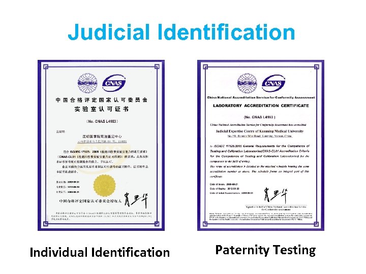 Judicial Identification Individual Identification Paternity Testing 