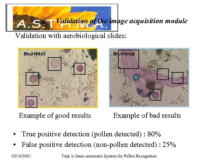 Validation of the image acquisition module Validation with aerobiological slides: Btu 1101 d 2