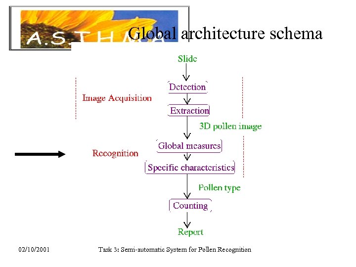 Global architecture schema 02/10/2001 Task 3: Semi-automatic System for Pollen Recognition 