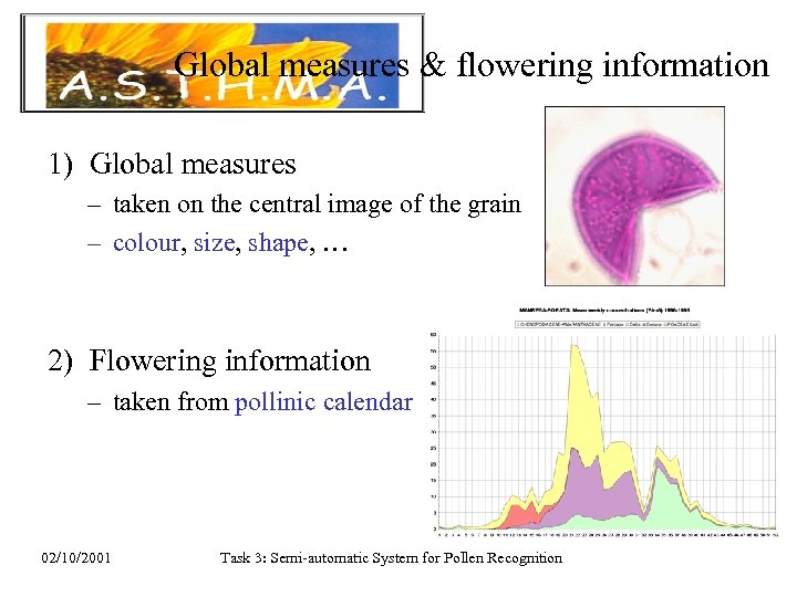 Global measures & flowering information 1) Global measures – taken on the central image