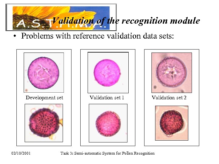Validation of the recognition module • Problems with reference validation data sets: Development set