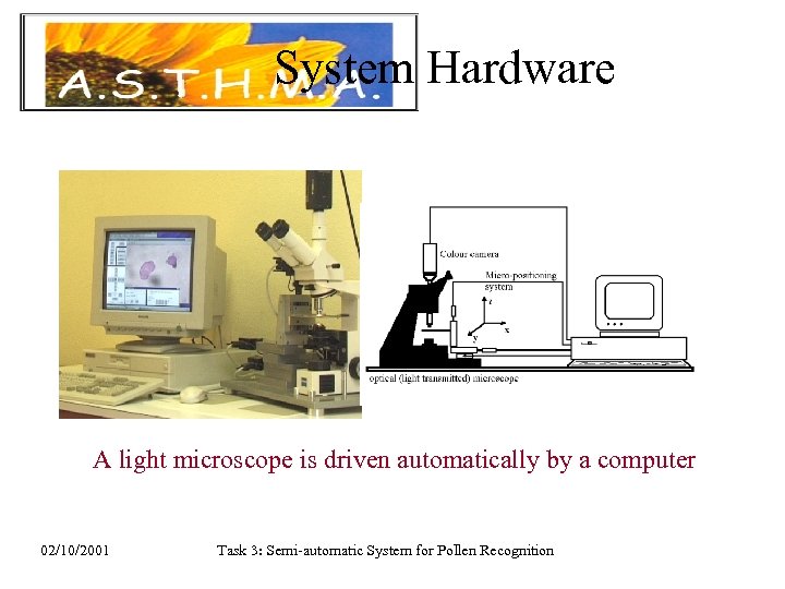 System Hardware A light microscope is driven automatically by a computer 02/10/2001 Task 3: