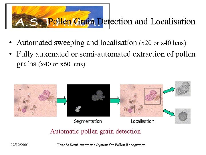 Pollen Grain Detection and Localisation • Automated sweeping and localisation (x 20 or x