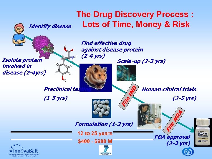 Preclinical testing (2 -5 yrs) 12 to 25 years $400 - $800 M le