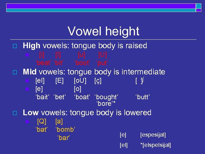 Vowel height o High vowels: tongue body is raised n o [u] [U] ‘boot’